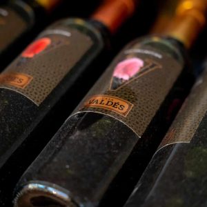 Cata de vinos