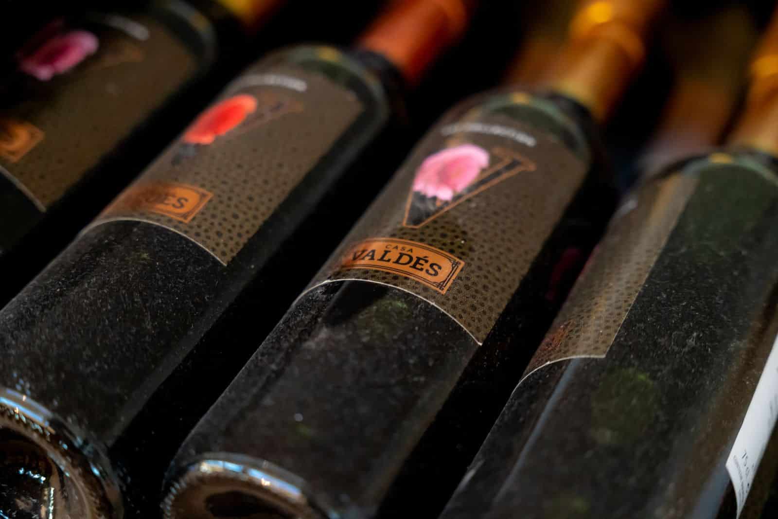 Cata de vinos